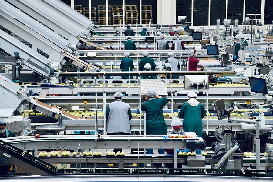 Chaîne de traitement de pommes dans un complexe agro-alimentaire